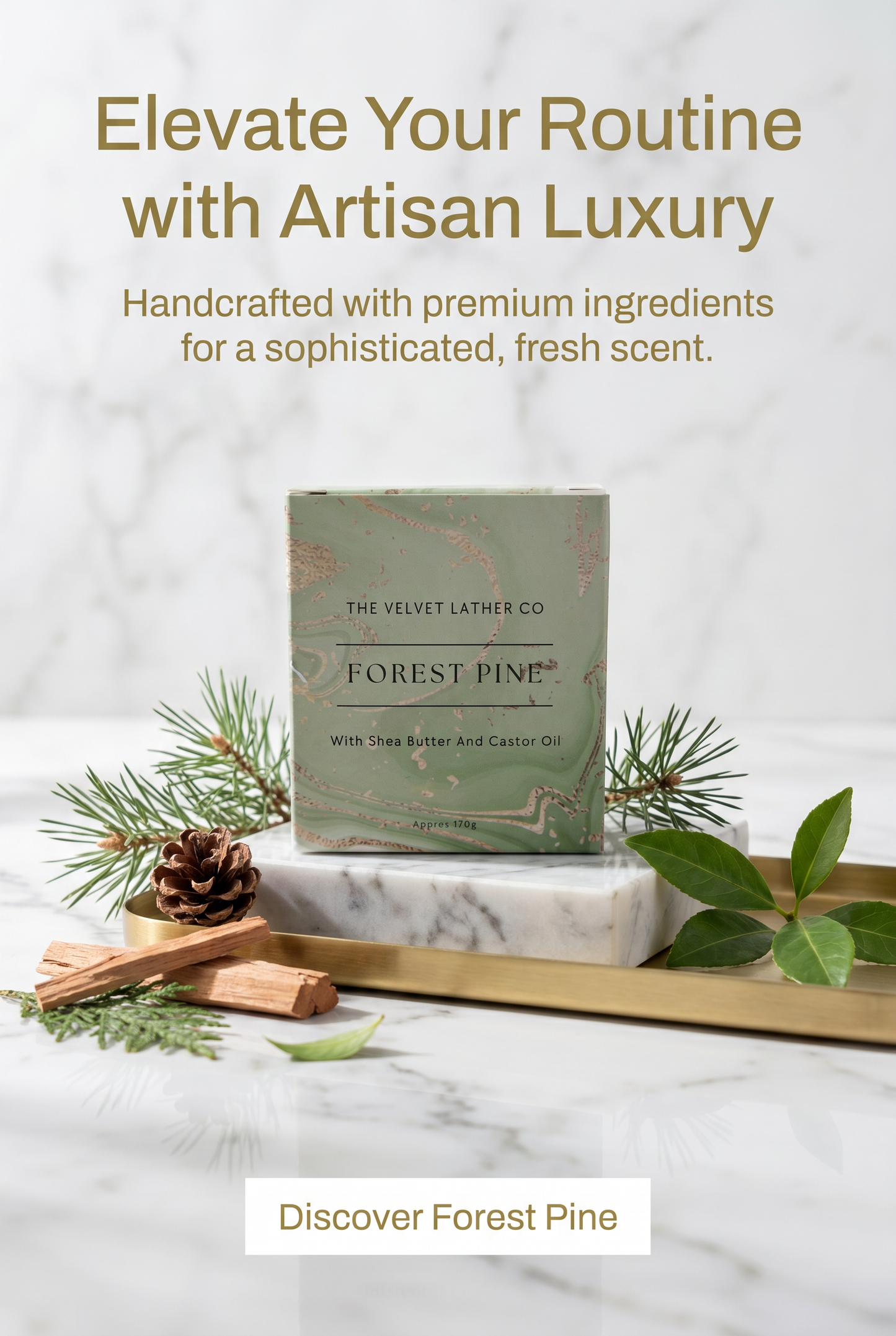 Forest Pine
